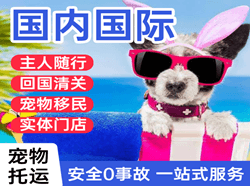 泉州机场快运国际宠物托运 【国